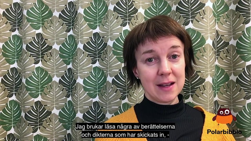 Polarbibblo på bibblan